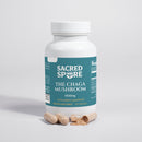 Chaga Mushroom (Gut Health & Immune Support)