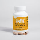 Lion's Mane Mushroom (Focus, Memory & Brain Health)