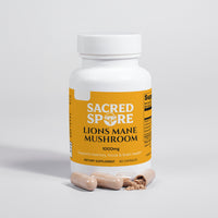 Lion's Mane Mushroom (Focus, Memory & Brain Health)