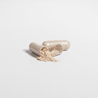 Lion's Mane Mushroom (Focus, Memory & Brain Health)