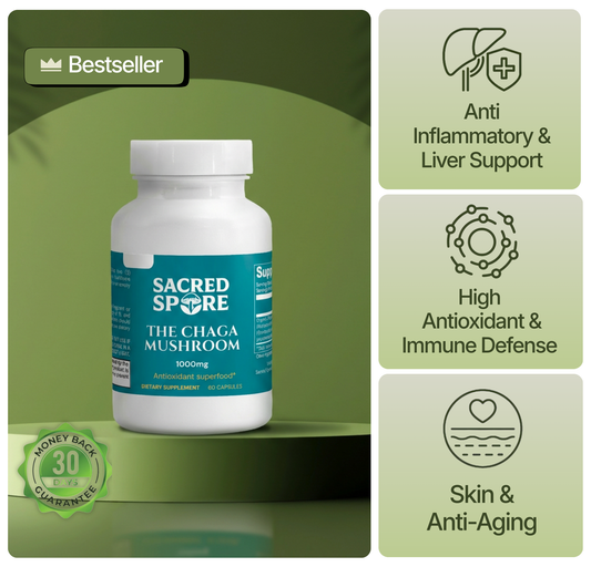 Chaga Mushroom (Liver Health & Balance)